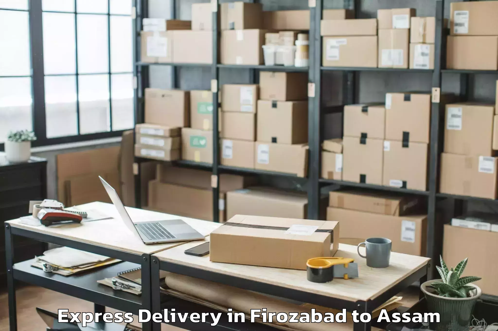 Top Firozabad to Bijni Express Delivery Available